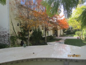 Window Screens and Screen Doors in Woodland Hills