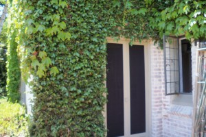 Screen Doors Lost Hills