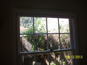 Disappearing Window Screens