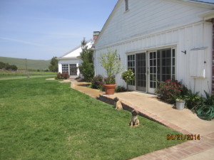 Sliding Screen Doors in Malibu