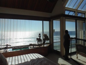 Window Screens in Malibu Home