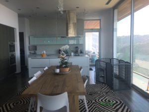 Kitchen installation of Anodized Silver Hinged Screen Door in Malibu Mountains