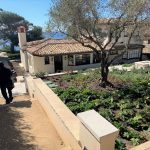 Bronze Screens in Malibu
